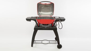 Everdure E2GO E2GLPC14R