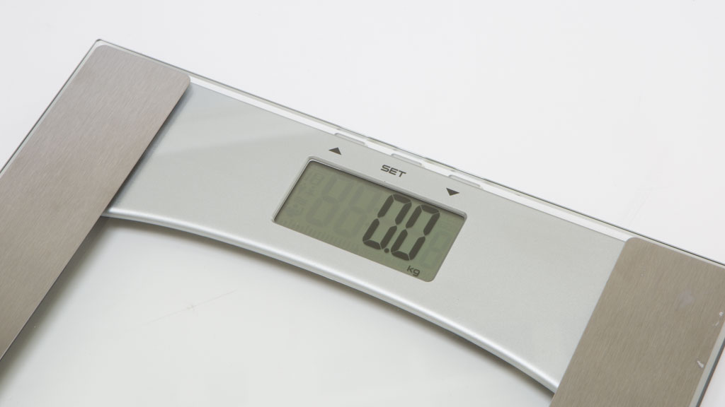 Homemaker 42022053 Review Body fat scale CHOICE
