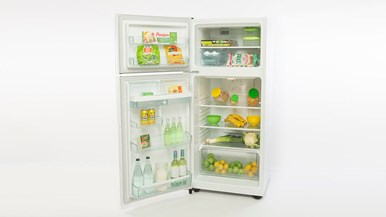 Westinghouse WTM4200WB