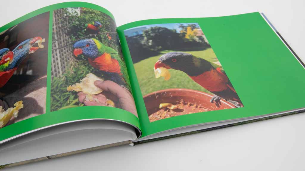 Albumworks Classic Photobook (11u0022 x 8.5u0022 Landscape Photocover)