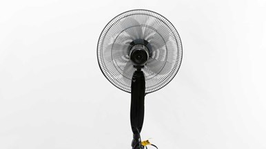 Arlec 40cm Black Pedestal Fan with Remote Control APF407BR