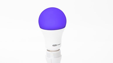 Arlec Grid Connect Smart Home Smart LED Globe RGB