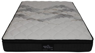 Art u0026 Science Night u0026 Day Adjustable Pillow Top