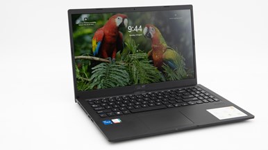 ASUS VivoBook F1500E (F1500EA-BQ2432W)