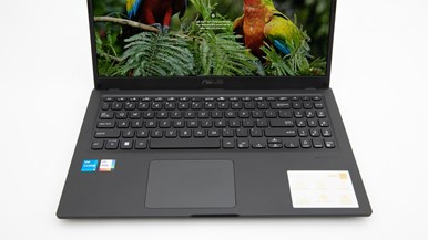 ASUS VivoBook F1500E (F1500EA-BQ2432W)