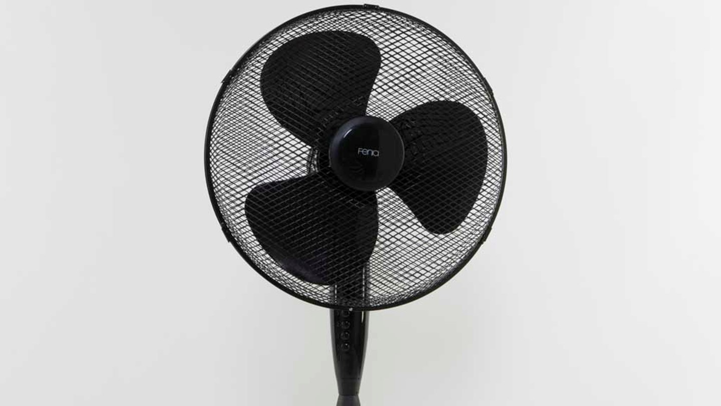 Big W Fenici 40cm Pedestal Fan Black FRD40A1BGA Review Pedestal and