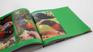 Blurb Standard Landscape: 10x8in, 25x20 cm, Hardcover ImageWrap