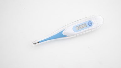 Bodichek Digital Thermometer Water Proof Flexible Tip 13011229