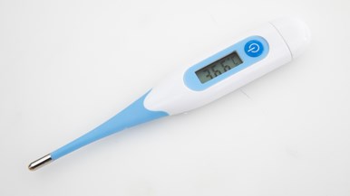 Bodichek Digital Thermometer Water Proof Flexible Tip 13011229