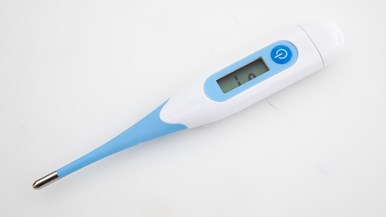 Bodichek Digital Thermometer Water Proof Flexible Tip 13011229