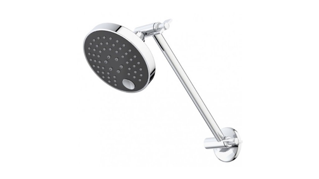 Caroma Pin Multifunction Adjustable Wall Shower 87259B3A