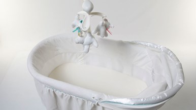 Childcare My Little Cloud Deluxe Bassinet 036510-333