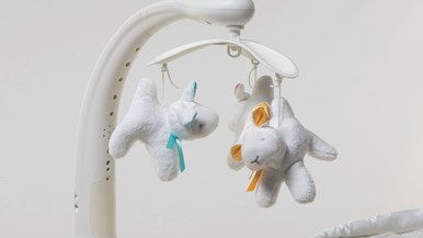 Childcare My Little Cloud Deluxe Bassinet 036510-333