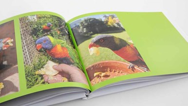 Clickonprint Classic A4 Landscape