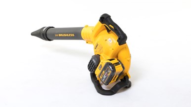 DeWalt DCM572X1-XE