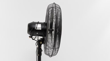 Dimplex 50cm High Velocity Pedestal Fan DCPF50MBK