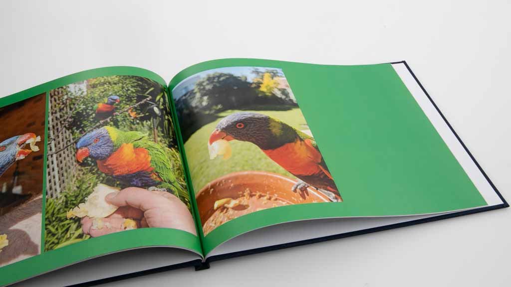 Domayne Photos 8x11u0022 Classic Hard Cover Book