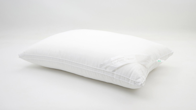 Downtime World's Softest Pillow