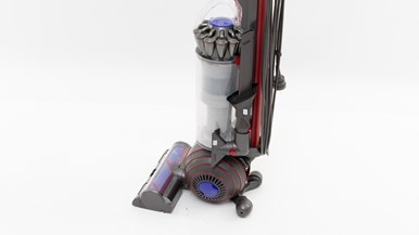 Dyson Ball Animal Origin