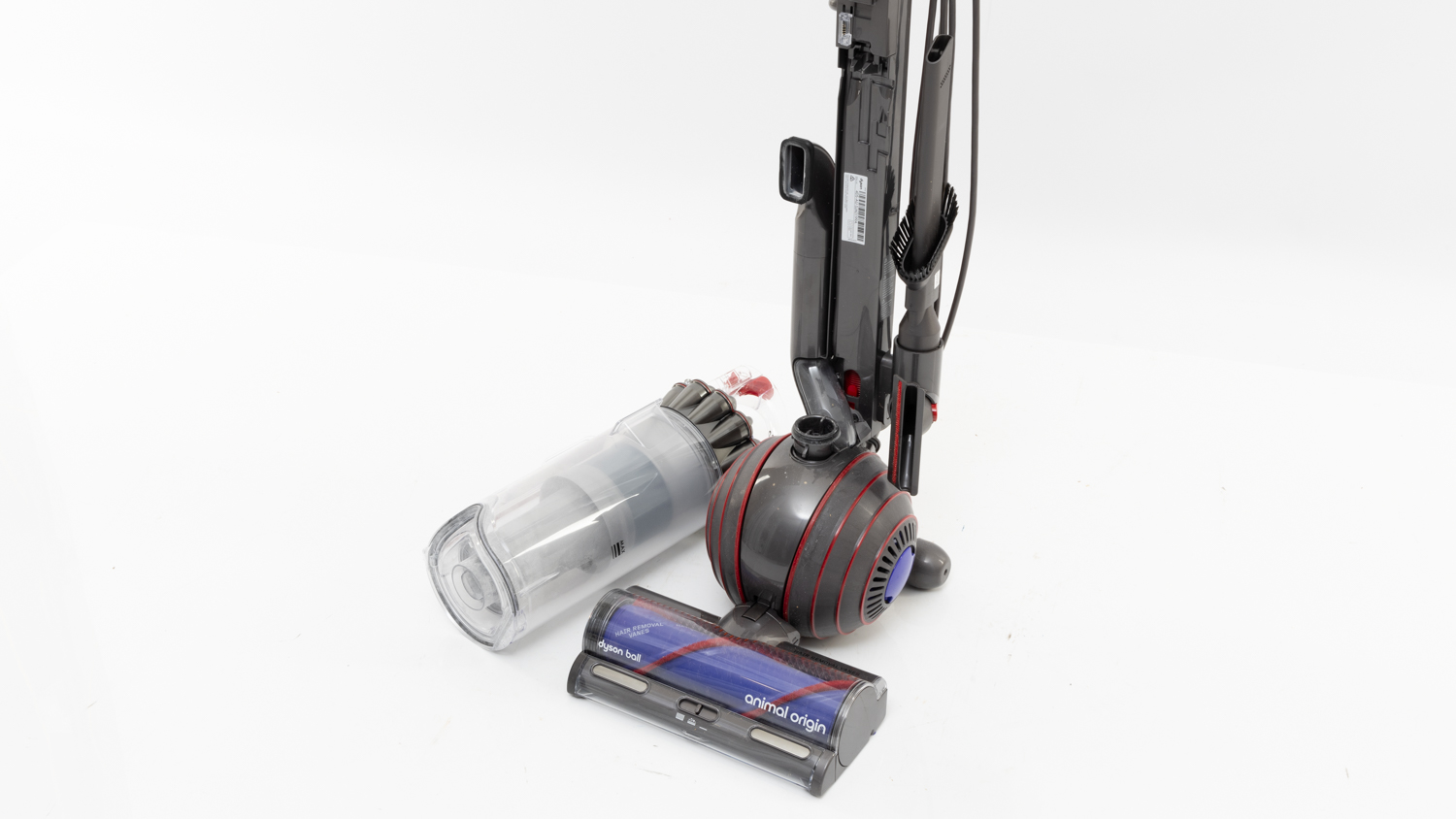 Dyson Ball Animal Origin