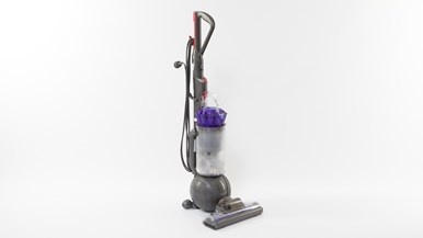 Dyson Ball Animal