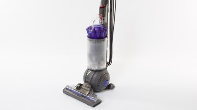 Dyson Ball Animal