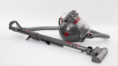 Dyson Cinetic Big Ball Absolute