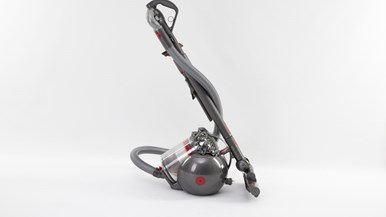 Dyson Cinetic Big Ball Absolute