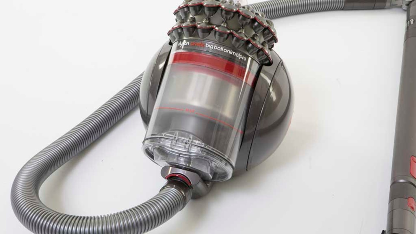 Test Dyson Cinetic Big Ball Animalpro – ZKMPP