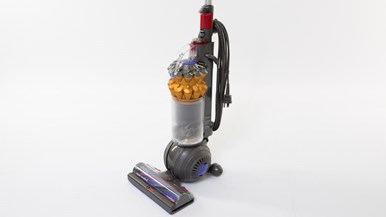 Dyson Small Ball Multi Floor