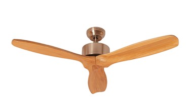 Ceiling Fan Reviews Choice