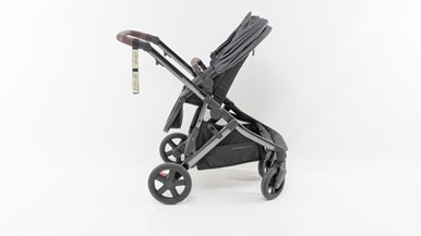 Edwards u0026 Co Olive