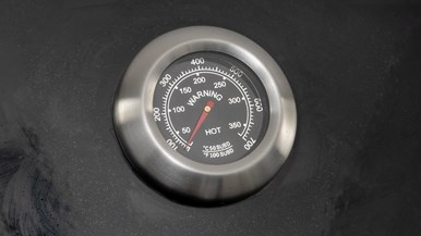 Everdure Hayman Series E4TB (Black)