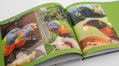 Fabness 11u0022x8u0022 (28x20cm) Hard Cover Book 20-120 pages