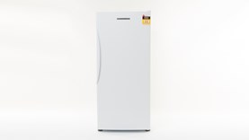 e308 fisher paykel