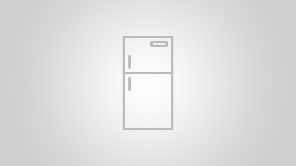 Fisher Paykel E381t Review Fridge Choice
