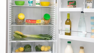 Fisher u0026 Paykel E442BRXFDU5