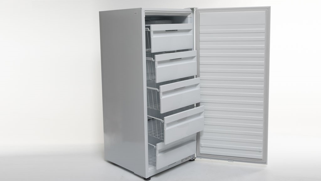 Fisher u0026 Paykel RF308FRDW1