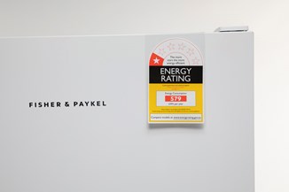 Fisher u0026 Paykel RF308FRDW1