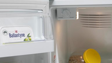 Fisher u0026 Paykel RF373SRDW1