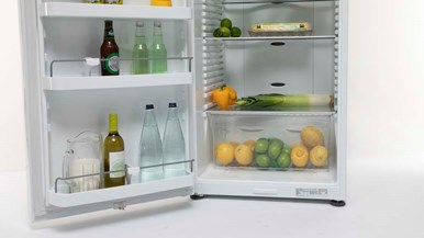 Fisher u0026 Paykel RF373SRDW1