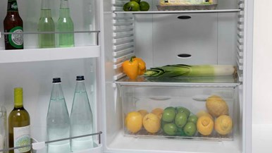 Fisher u0026 Paykel RF373SRDW1