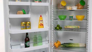 Fisher u0026 Paykel RF373SRDW1