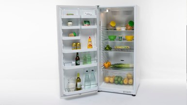 Fisher u0026 Paykel RF373SRDW1