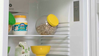 Fisher u0026 Paykel RF402BRYW6