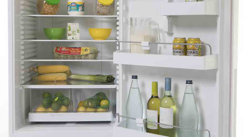 Fisher u0026 Paykel RF402BRYW6