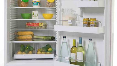 Fisher u0026 Paykel RF402BRYW6