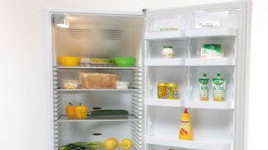 Fisher u0026 Paykel RF450SRDW1