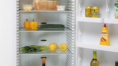 Fisher u0026 Paykel RF450SRDW1