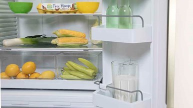 Fisher u0026 Paykel RF522ADX5